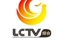 电视频道,揭秘各大频道特色与魅力