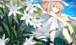 动漫壁纸图片高清,梦幻视觉盛宴，高清世界尽收眼底